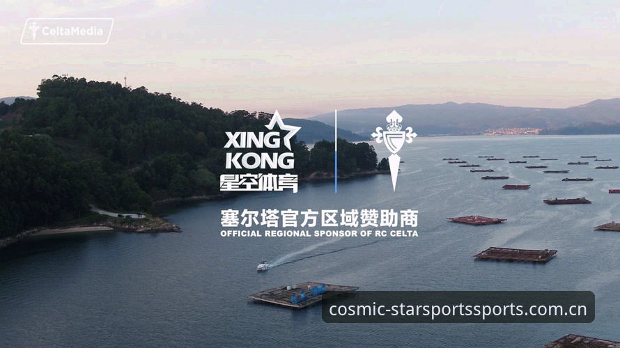 星空体育官方下载与平台体验全面评测：从注册到投注的完整指南